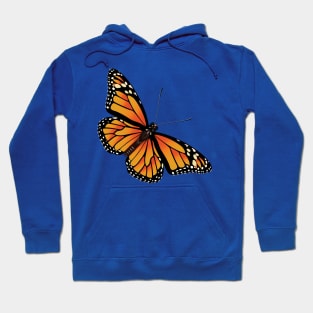 Monarch Butterfly intricate detail Hoodie